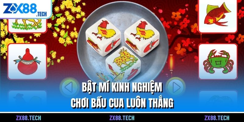 Bật mí kinh nghiệm chơi bầu cua luôn thắng