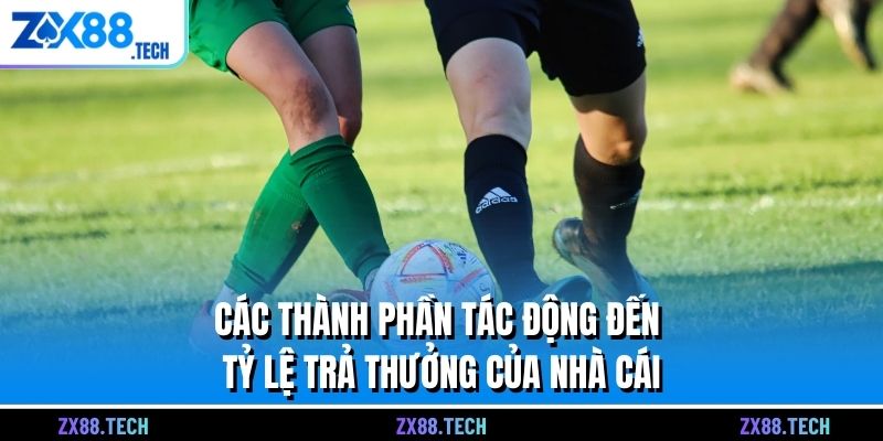 Các thành phần tác động đến tỷ lệ trả thưởng của nhà cái