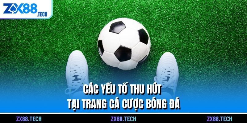 Các yếu tố thu hút tại trang cá cược bóng đá
