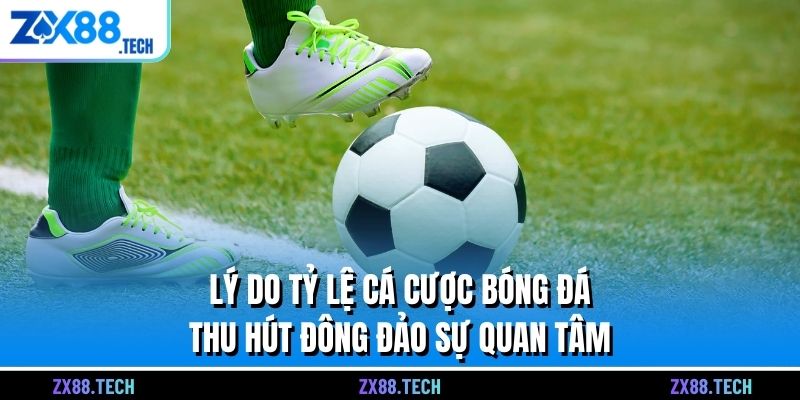Lý do tỷ lệ cá cược bóng đá thu hút đông đảo sự quan tâm