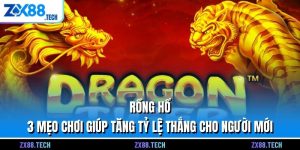 Rồng Hổ – 3 Mẹo Chơi Giúp Tăng Tỷ Lệ Thắng Cho Người Mới