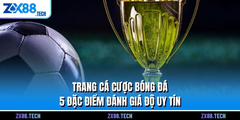 Trang Cá Cược Bóng Đá - 5 Đặc Điểm Đánh Giá Độ Uy Tín